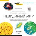 Микроскоп Levenhuk Discovery Femto Polar с книгой